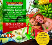 tatralandia-obrazok
